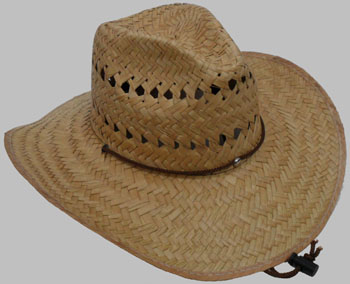 HW23498 Men Straw Hat-100/case