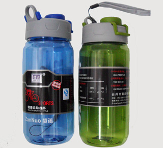 PS23207-1  Water Bottle-600ml-70/case