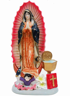 ST23556-1 Guadalupe-24/case